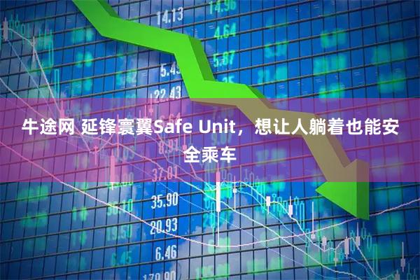 牛途网 延锋寰翼Safe Unit，想让人躺着也能安全乘车